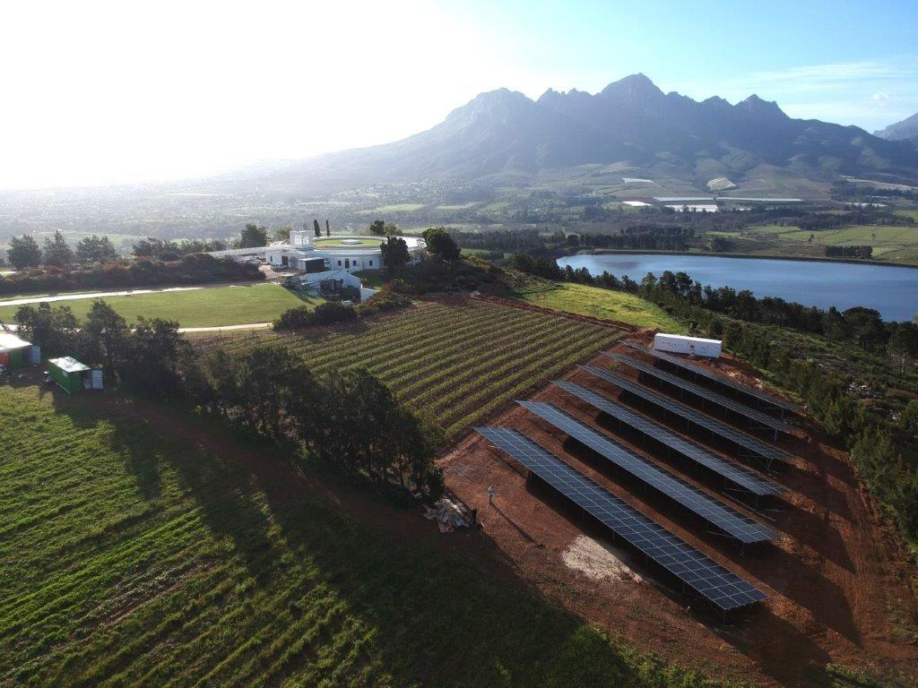 Solar panels beside vineyards on a Helderberg farm below the mountains